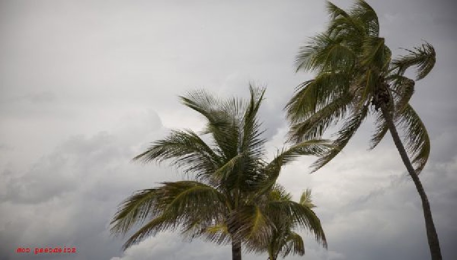 Florida in pericolo: tempesta tropicale in avvicinamento! Lanciato lo stato di allerta