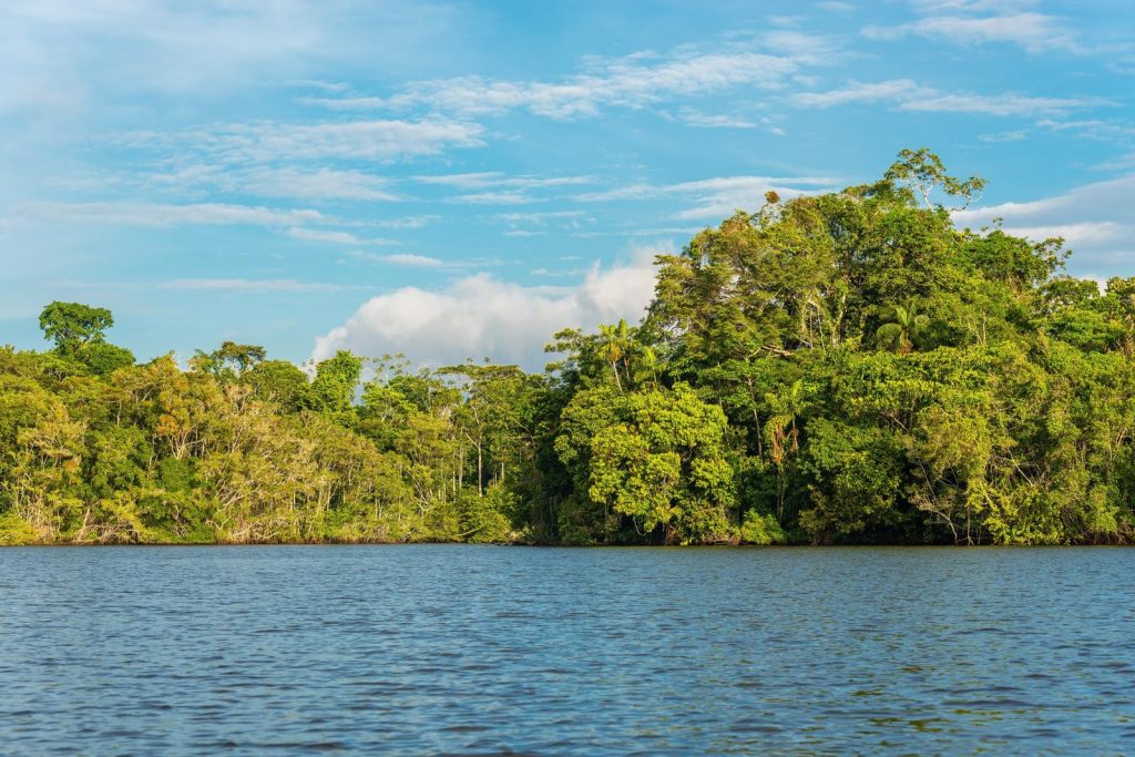 Amazzonia