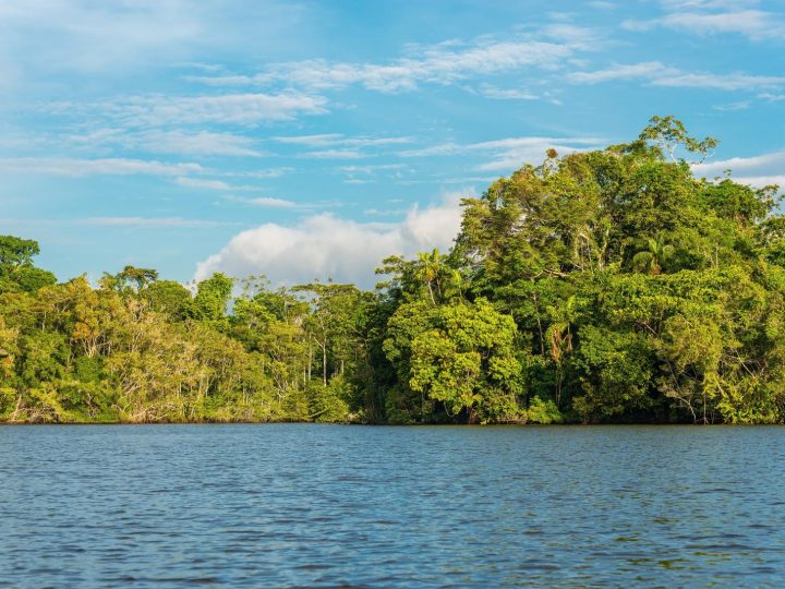 L’Amazzonia come non l’avete mai vista: antiche città rivelate da scansione laser!