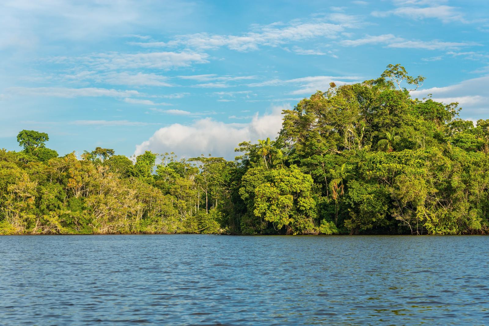 L’Amazzonia come non l’avete mai vista: antiche città rivelate da scansione laser!