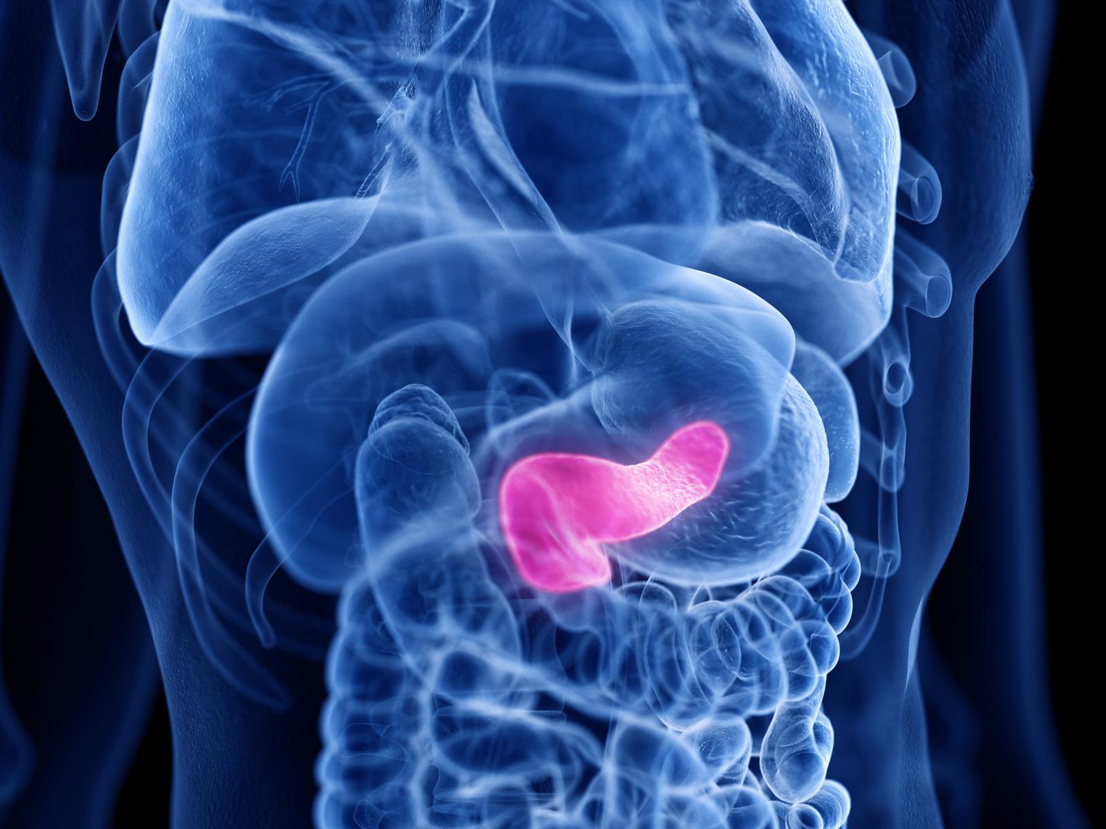 Mini pancreas in laboratorio: la ricerca che potrebbe salvare milioni di vite!